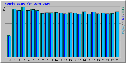 Hourly usage for June 2024