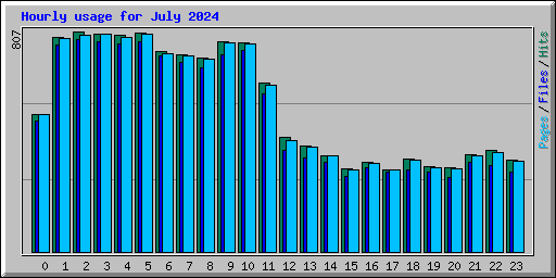 Hourly usage for July 2024