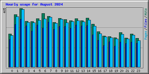 Hourly usage for August 2024