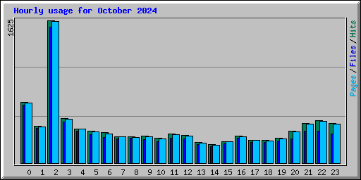 Hourly usage for October 2024