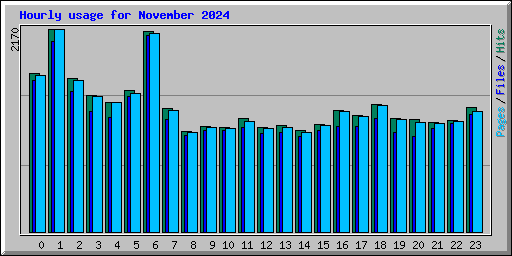 Hourly usage for November 2024